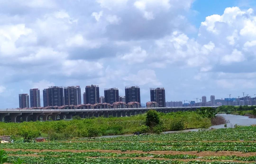 1621814549589713.jpg 1621814549589713.jpg